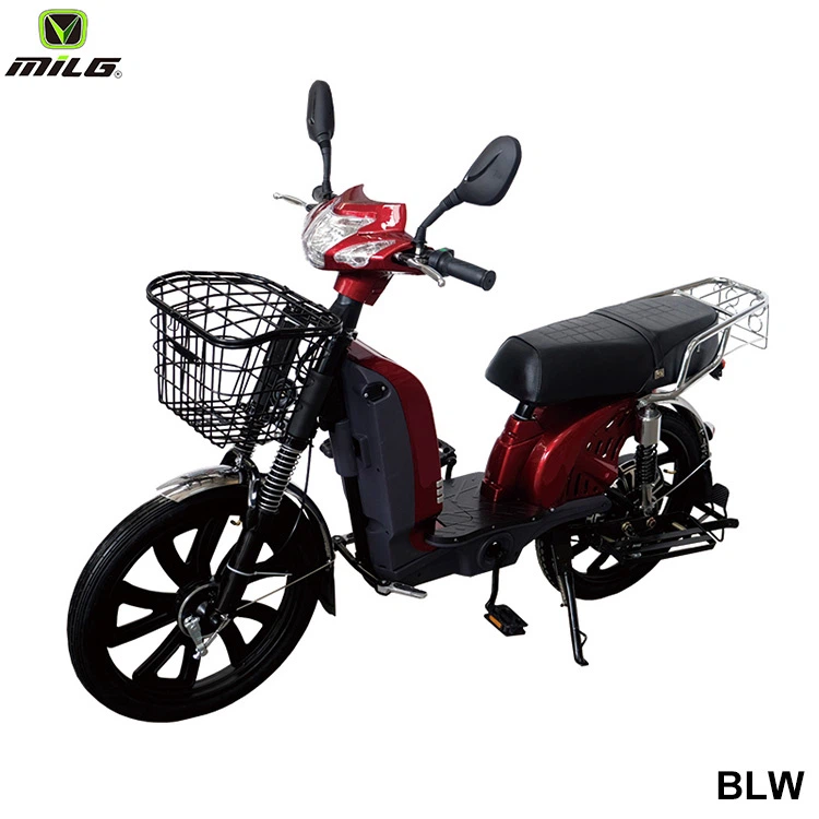 Popular Off Road Ebike Carry 3 People