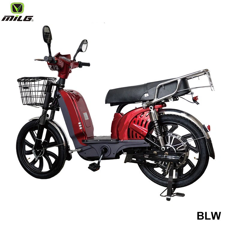 Popular Off Road Ebike Carry 3 People suppliers