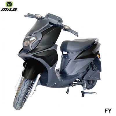 1500w Street Legal Touring Electric Dirt Bike